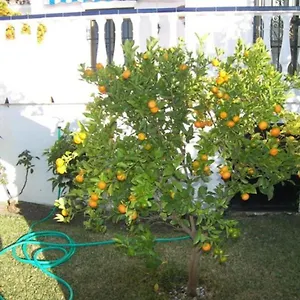 https://capistrano1.1costadelsol.com